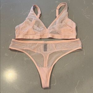Sheer Mesh Bra and Panty Set NWOT L
